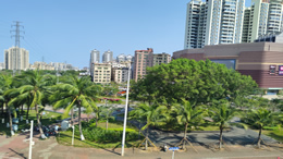 露从今夜白,今日是白露! 露从今夜白,今日是白露!