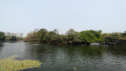 赵薇爱上打沙狐球，动作十分到位